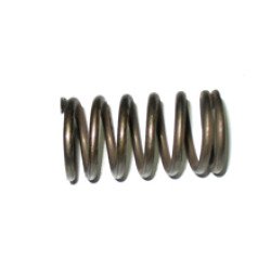5F3111 Valve Spring 5F3111 Valve Spring