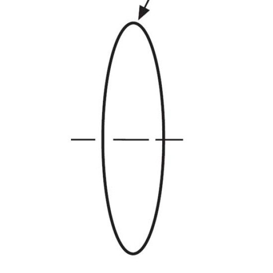 Showing image for Cover O-Ring - RF7 Series Cover O-Ring - RF7 Series image
