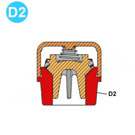 item#D2 TEE Piston and Liners 2x5