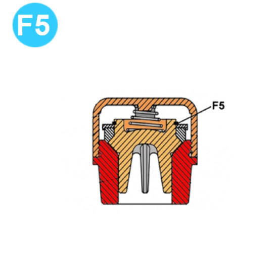 item#F5 TEE Piston and Liners 2x5