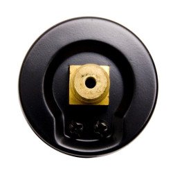 T8DL 2" (50mm) 1/4 NPT with Center Back Connection. Brass/Bronze Internals - Non-Filled T8DL 2" (50mm) 1/4 NPT with Center Back Connection. Brass/Bronze Internals - Non-Filled