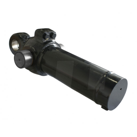 2974896, 1121765 Swing Cylinder Assy Cylinders image