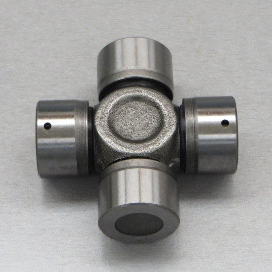 1388527 Spider image