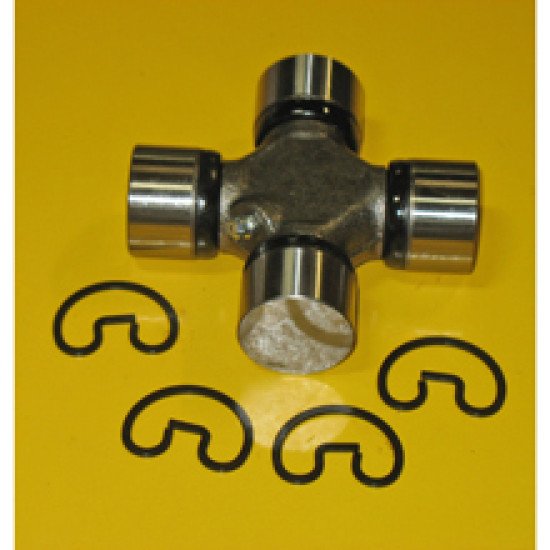 1912226 Spider image