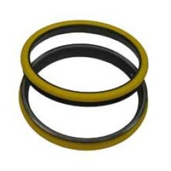 6T3377 Seal Group, Duo 6T3377 Seal Group, Duo