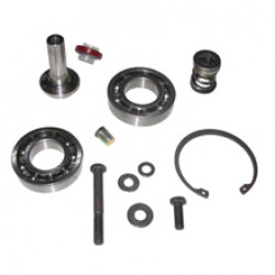 1700558 Rebuild Kit 1700558 Rebuild Kit