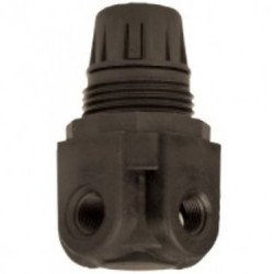 R362-01CP Parker Watts Pneumatic Regulator R362-01CP Parker Watts Pneumatic Regulator