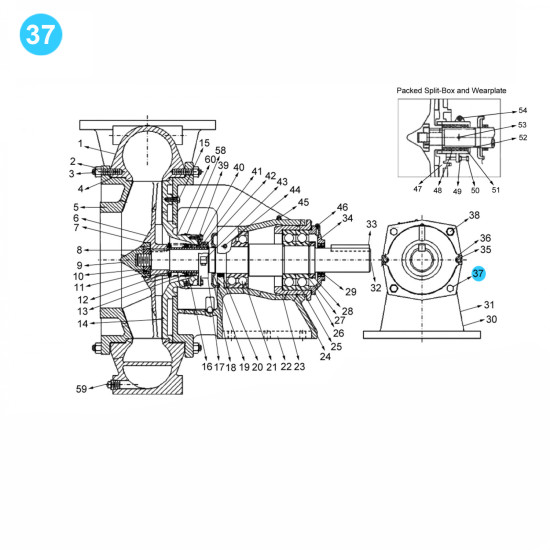 Showing image for item#37 Mission Style. Sizes: 8x6x18; 12x10x23; 14x12x22 (7500 GPM - 500 HP) Nuts, Bearing Housing item#37 Mission Style. Sizes: 8x6x18; 12x10x23; 14x12x22 (7500 GPM - 500 HP) Nuts, Bearing Housing Mission Style- Magnum XP image