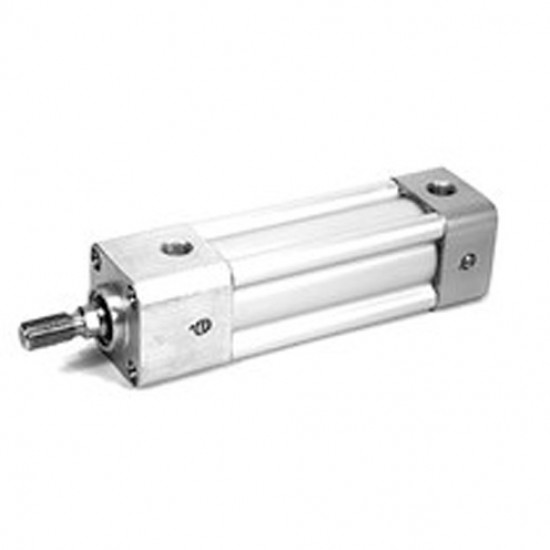 Showing image for AVENTICS R432023098 VITON CYLINDER AVENTICS R432023098 VITON CYLINDER Aventic Pneumatics General image