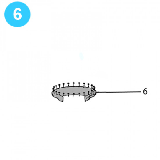 Showing image for item#6 11 item#6 11