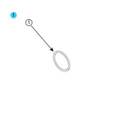 391-2686-063 Snap Ring (Spirolox)