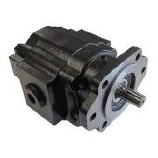 Showing image for P51A646TEYR22-25 Gear Pumps P51 P51A646TEYR22-25 Gear Pumps P51 image
