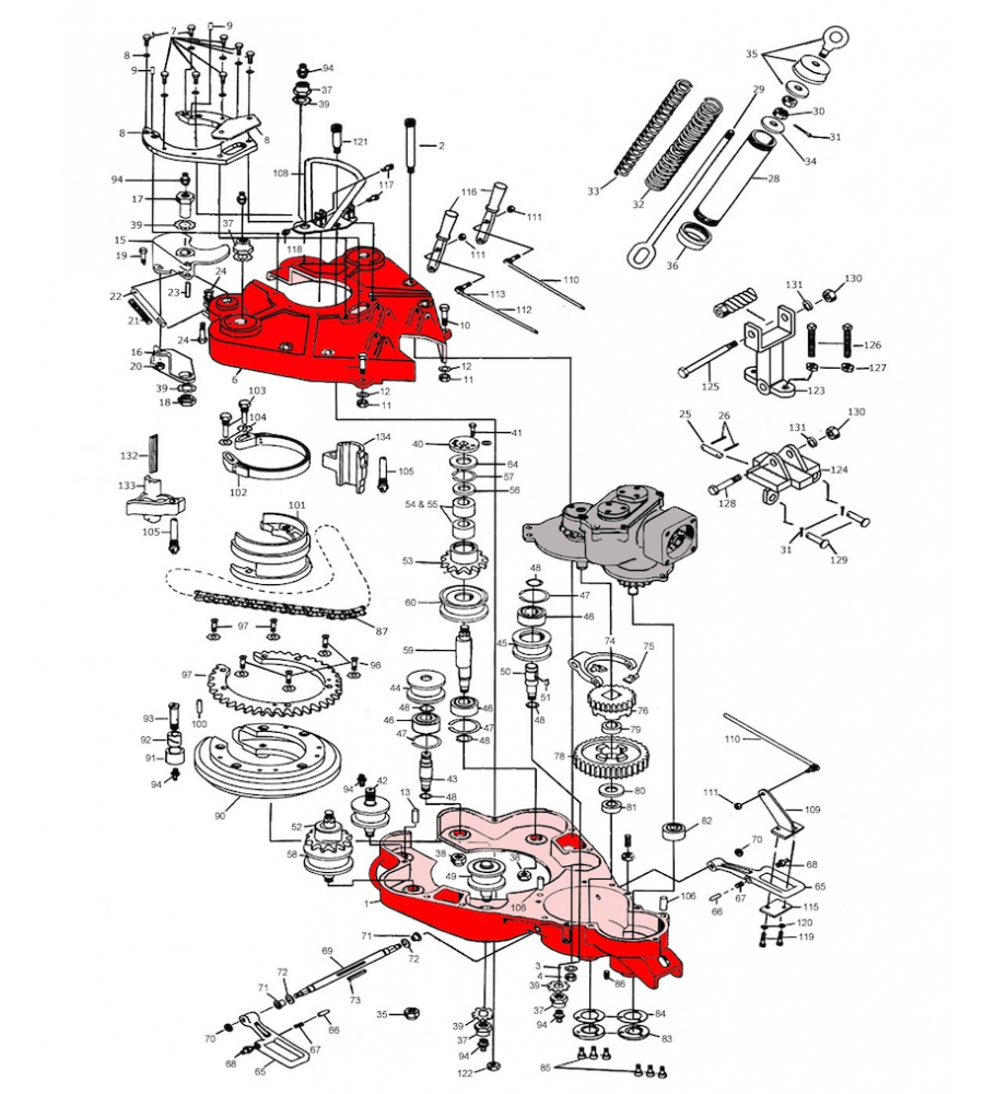 visual-image